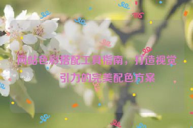 網(wǎng)站色彩搭配工具指南，打造視覺吸引力的完美配色方案