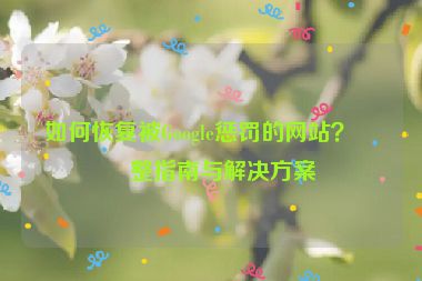 如何恢復(fù)被Google懲罰的網(wǎng)站？完整指南與解決方案
