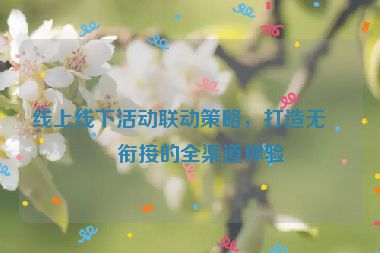 線上線下活動(dòng)聯(lián)動(dòng)策略，打造無縫銜接的全渠道體驗(yàn)