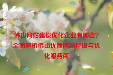 佛山網(wǎng)站建設(shè)優(yōu)化企業(yè)有哪些？全面解析佛山優(yōu)質(zhì)網(wǎng)站建設(shè)與優(yōu)化服務(wù)商