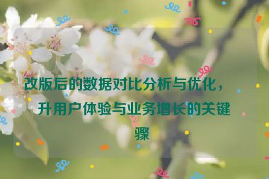 改版后的數(shù)據(jù)對比分析與優(yōu)化，提升用戶體驗與業(yè)務增長的關鍵步驟
