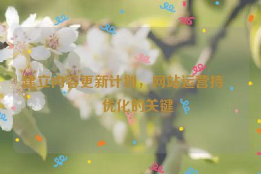 建立內(nèi)容更新計劃，網(wǎng)站運(yùn)營持續(xù)優(yōu)化的關(guān)鍵