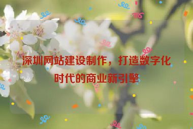 深圳網(wǎng)站建設(shè)制作，打造數(shù)字化時(shí)代的商業(yè)新引擎