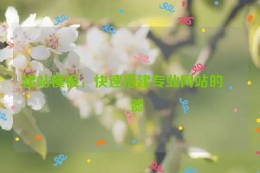 建站模板，快速搭建專業(yè)網(wǎng)站的利器