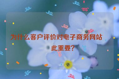為什么客戶評價對電子商務網(wǎng)站如此重要？
