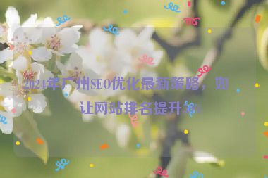 2024年廣州SEO優(yōu)化最新策略，如何讓網(wǎng)站排名提升50%