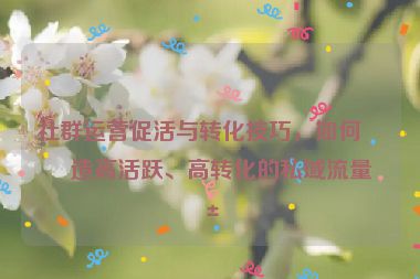 社群運營促活與轉(zhuǎn)化技巧，如何打造高活躍、高轉(zhuǎn)化的私域流量池