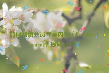 如何利用會員專享內(nèi)容（Premium Content）提高ARPU？