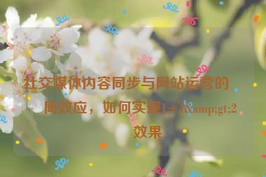 社交媒體內(nèi)容同步與網(wǎng)站運(yùn)營的協(xié)同效應(yīng)，如何實(shí)現(xiàn)1+1&gt;2的效果