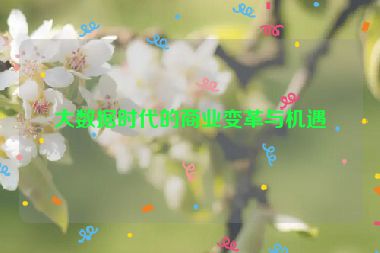 大數(shù)據(jù)時代的商業(yè)變革與機遇