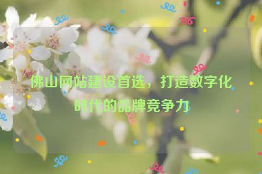 佛山網(wǎng)站建設(shè)首選，打造數(shù)字化時(shí)代的品牌競(jìng)爭(zhēng)力