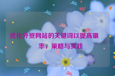 優(yōu)化外貿網站的關鍵詞以提高曝光率，策略與實踐
