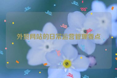 外貿網站的日常運營管理要點