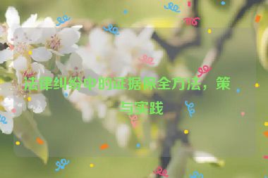 法律糾紛中的證據(jù)保全方法，策略與實(shí)踐