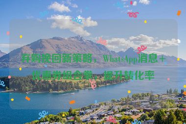 棄購(gòu)?fù)旎匦虏呗?，WhatsApp消息+優(yōu)惠券組合拳，提升轉(zhuǎn)化率