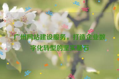 廣州網(wǎng)站建設(shè)服務(wù)，打造企業(yè)數(shù)字化轉(zhuǎn)型的堅(jiān)實(shí)基石