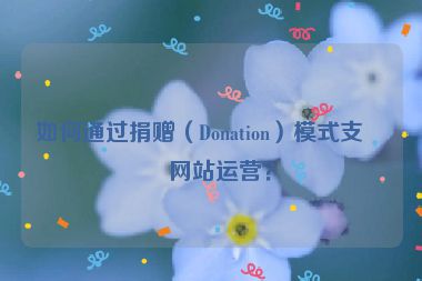 如何通過捐贈（Donation）模式支持網(wǎng)站運營？
