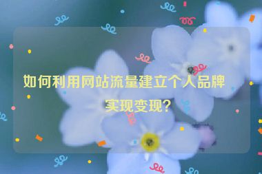如何利用網(wǎng)站流量建立個人品牌并實現(xiàn)變現(xiàn)？
