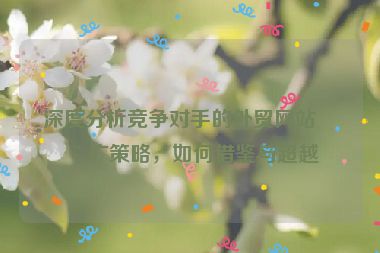 深度分析競爭對手的外貿網站推廣策略，如何借鑒與超越