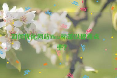如何優(yōu)化網(wǎng)站Meta標(biāo)簽以提高點擊率？