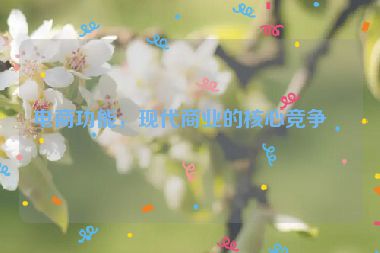 電商功能，現(xiàn)代商業(yè)的核心競(jìng)爭(zhēng)力