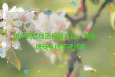 用戶數(shù)據(jù)加密存儲(chǔ)方法，保障數(shù)據(jù)安全的關(guān)鍵技術(shù)
