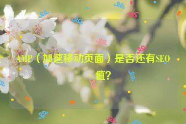 AMP（加速移動(dòng)頁(yè)面）是否還有SEO價(jià)值？