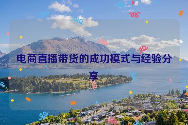 電商直播帶貨的成功模式與經(jīng)驗分享
