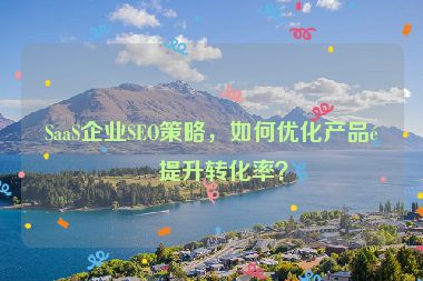 SaaS企業(yè)SEO策略，如何優(yōu)化產(chǎn)品頁(yè)提升轉(zhuǎn)化率？