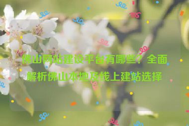 佛山網站建設平臺有哪些？全面解析佛山本地及線上建站選擇