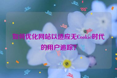 如何優(yōu)化網(wǎng)站以適應(yīng)無Cookie時代的用戶追蹤？