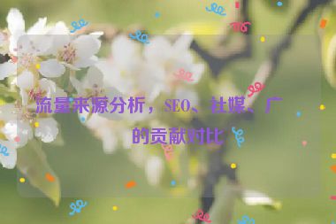流量來源分析，SEO、社媒、廣告的貢獻對比