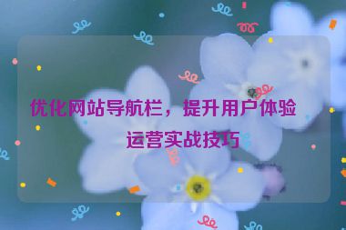 優(yōu)化網(wǎng)站導(dǎo)航欄，提升用戶體驗(yàn)，運(yùn)營實(shí)戰(zhàn)技巧