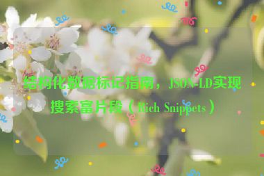 結(jié)構(gòu)化數(shù)據(jù)標記指南，JSON-LD實現(xiàn)搜索富片段（Rich Snippets）