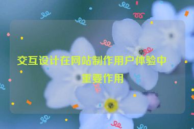 交互設(shè)計在網(wǎng)站制作用戶體驗中的重要作用