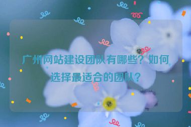 廣州網(wǎng)站建設(shè)團(tuán)隊(duì)有哪些？如何選擇最適合的團(tuán)隊(duì)？