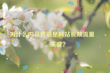 為什么內(nèi)容營銷是網(wǎng)站長期流量的關(guān)鍵？