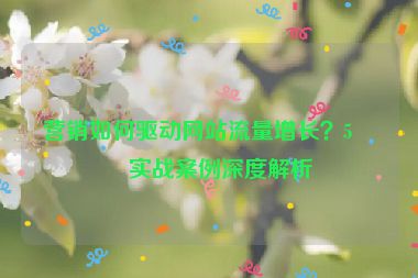 營(yíng)銷如何驅(qū)動(dòng)網(wǎng)站流量增長(zhǎng)？5個(gè)實(shí)戰(zhàn)案例深度解析