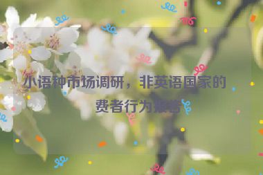小語種市場調(diào)研，非英語國家的消費(fèi)者行為報(bào)告