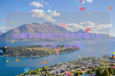 SEO新手必知的10個專業(yè)術語（DA、TF-IDF、SERP等）