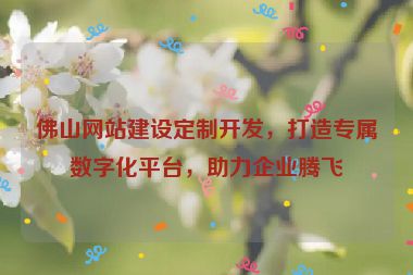 佛山網(wǎng)站建設定制開發(fā)，打造專屬數(shù)字化平臺，助力企業(yè)騰飛