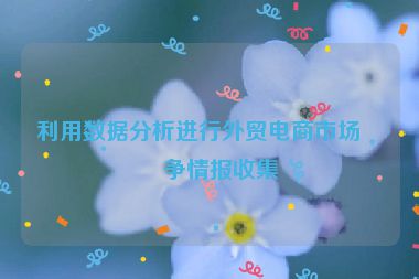 利用數(shù)據(jù)分析進(jìn)行外貿(mào)電商市場(chǎng)競(jìng)爭(zhēng)情報(bào)收集
