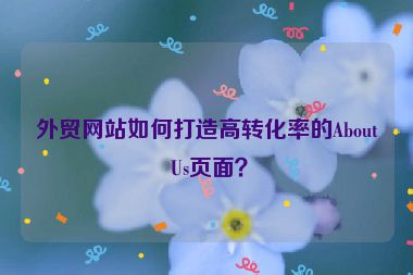 外貿(mào)網(wǎng)站如何打造高轉(zhuǎn)化率的About Us頁(yè)面？