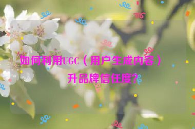如何利用UGC（用戶生成內(nèi)容）提升品牌信任度？