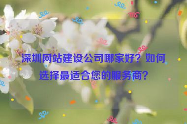 深圳網(wǎng)站建設(shè)公司哪家好？如何選擇最適合您的服務(wù)商？