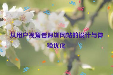 從用戶視角看深圳網(wǎng)站的設(shè)計(jì)與體驗(yàn)優(yōu)化