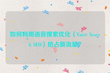 如何利用語音搜索優(yōu)化（Voice Search SEO）搶占新流量？