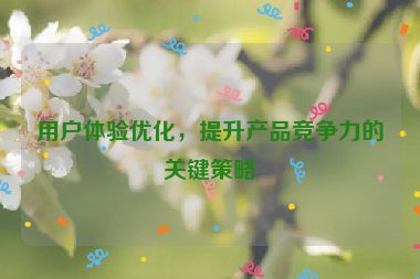 用戶體驗優(yōu)化，提升產(chǎn)品競爭力的關(guān)鍵策略
