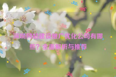 深圳網(wǎng)站建設(shè)推廣優(yōu)化公司有哪些？全面解析與推薦
