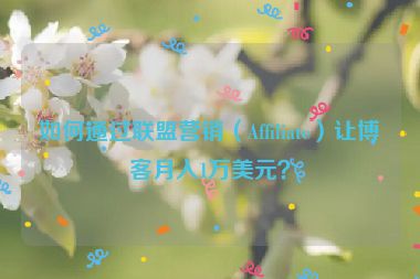 如何通過聯(lián)盟營銷（Affiliate）讓博客月入1萬美元？